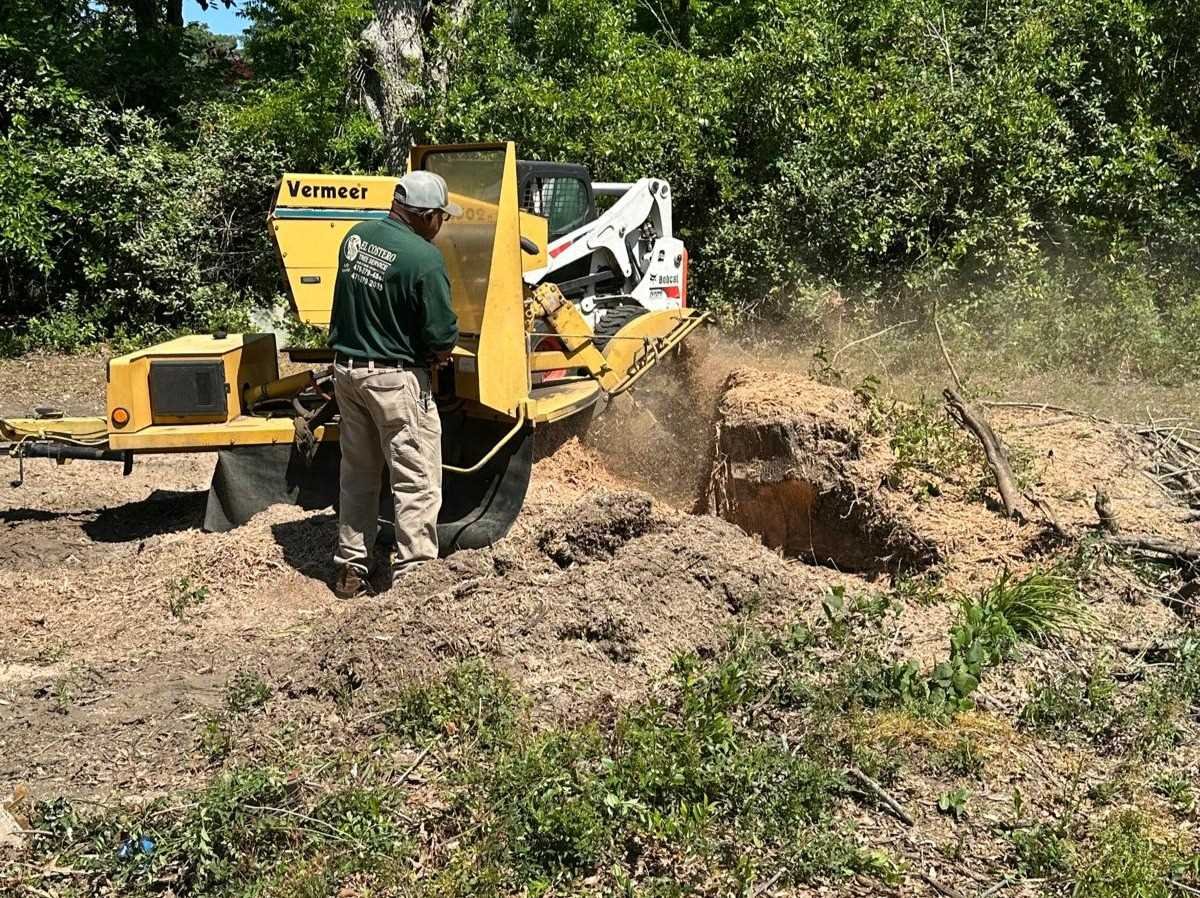 El Costeño Tree Service LLC